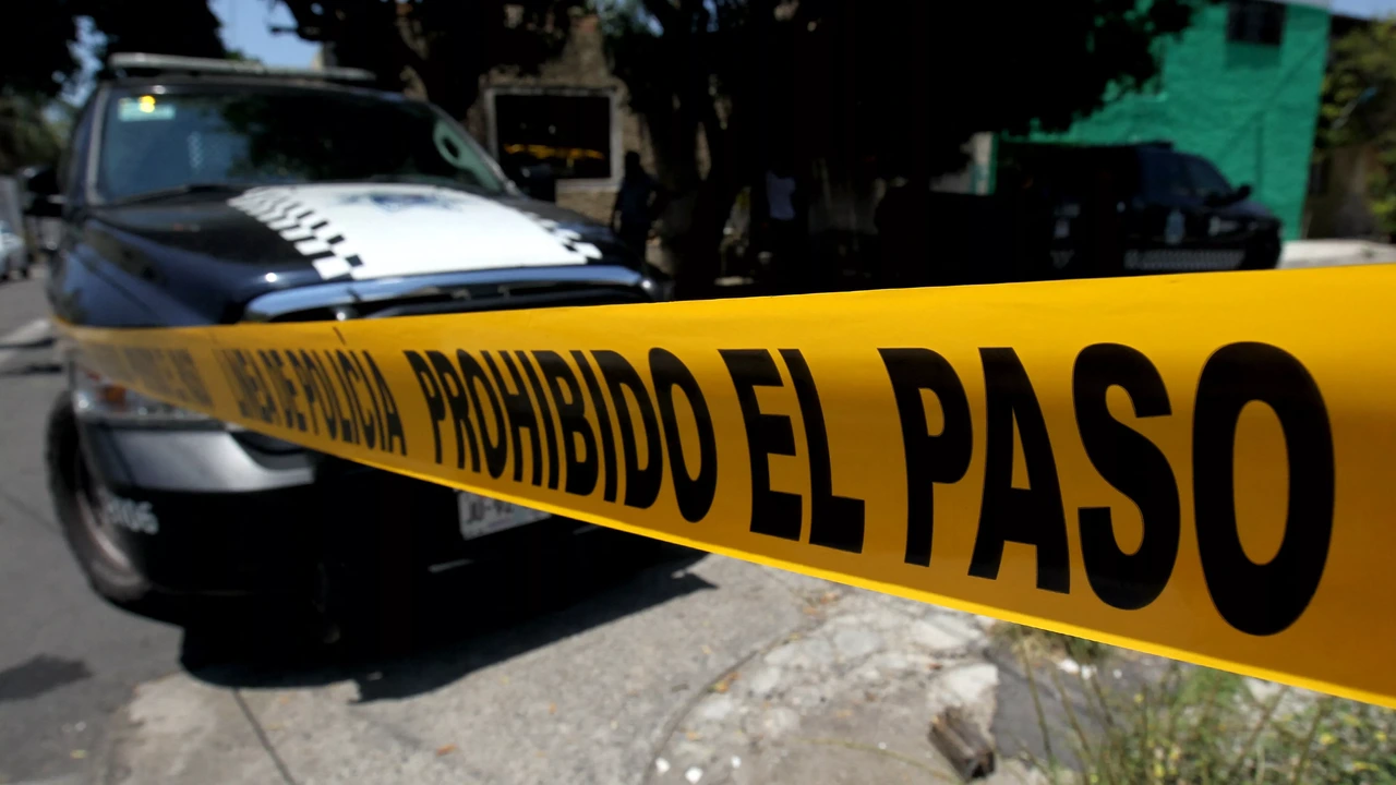 Zoekende ouders vinden 1600 melktanden in Mexico, waar steeds meer massagraven worden ontdekt Zoekende ouders vinden 1600 melktanden in Mexico, waar steeds meer massagraven worden ontdekt