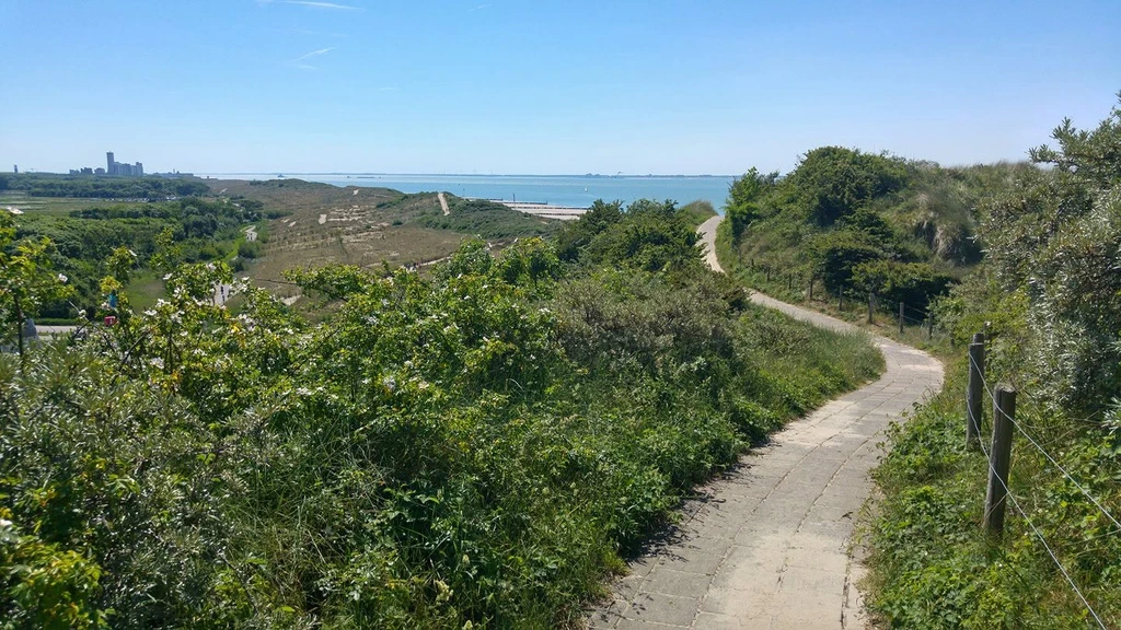 Foto: Zwakke duinen vlak bij Vlissingen worden opgehoogd