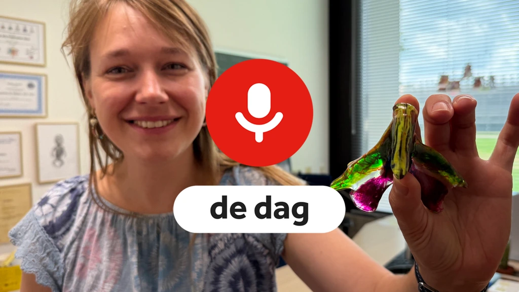 Foto: Podcast De Dag: De ontdekking van de clitoris