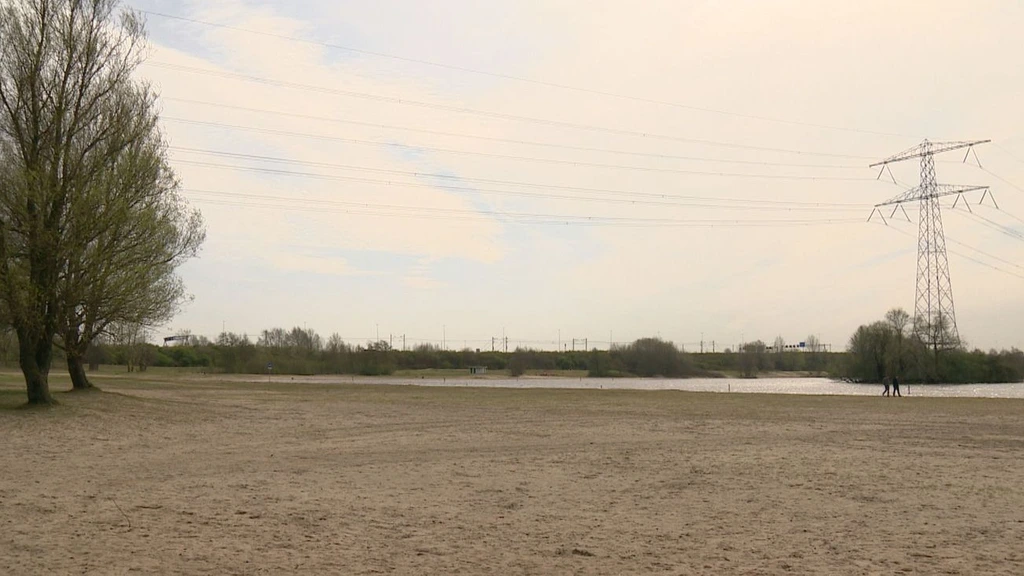 Foto: Zwemverbod in Almere voorbij, geen verklaring voor dode en zieke honden