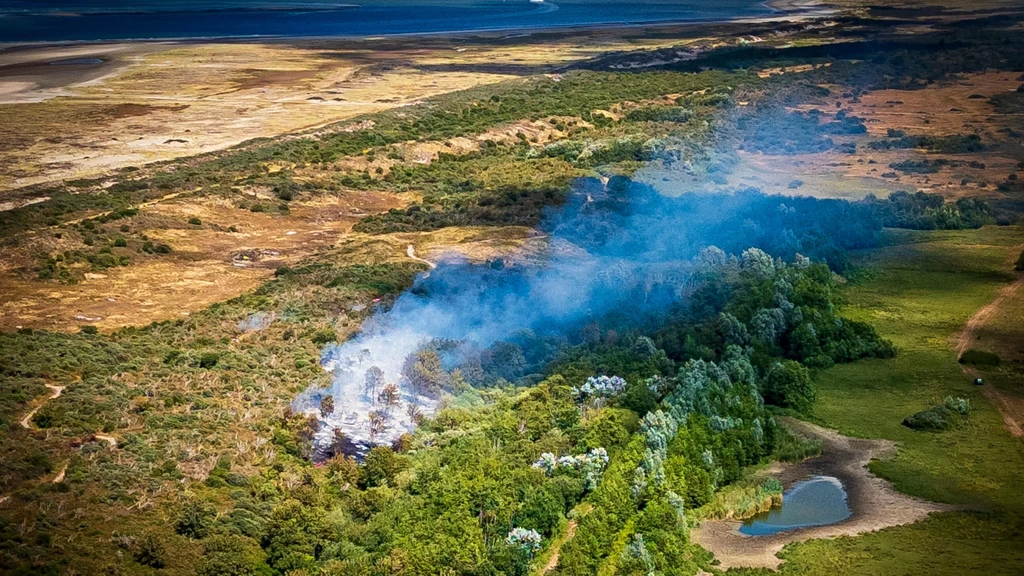 Brandweerman overleden die zwaargewond raakte bij duinbrand Ouddorp