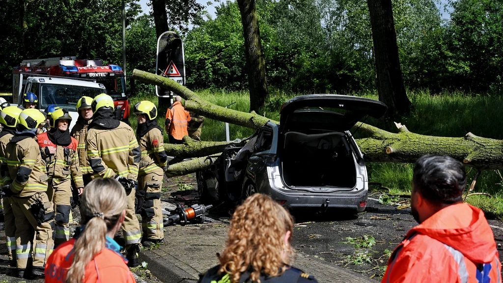 Foto: Boom valt op auto in Boxtel, bestuurder overleden