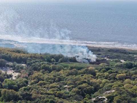 Oirschotse Heide : ce qu'il faut savoir — image 6