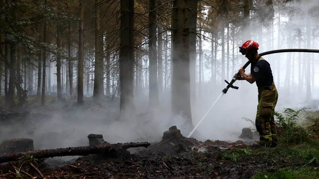 Veenbrand in de Ardennen nog niet onder controle, koning Filip bezoekt gebied