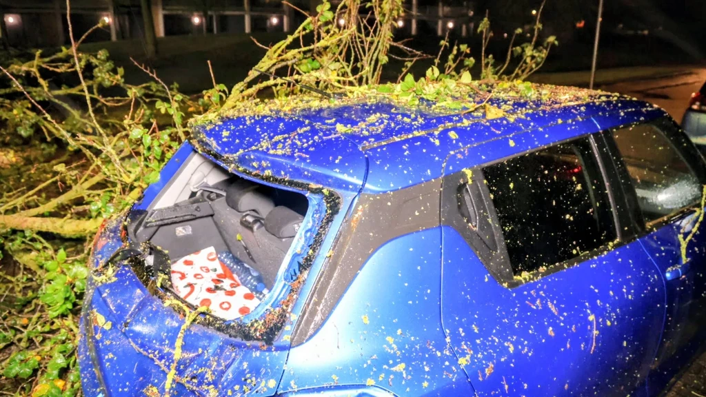 Foto: Op verschillende plekken overlast door harde wind