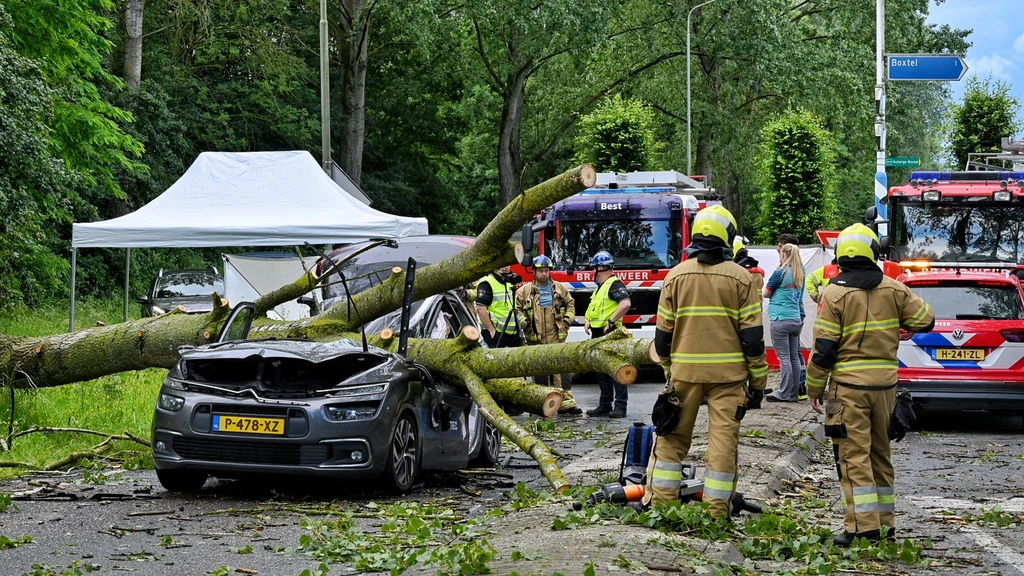 Boom valt op bestelbus in Boxtel, bestuurder overl