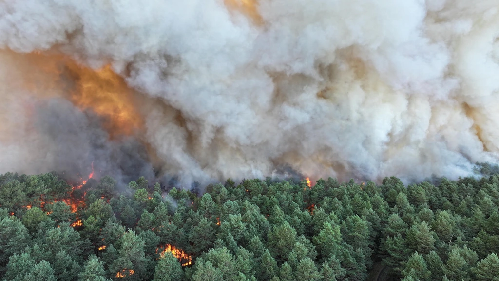 Foto: Honderden brandweerlieden bestrijden grote bosbrand ten zuidoosten van Parijs