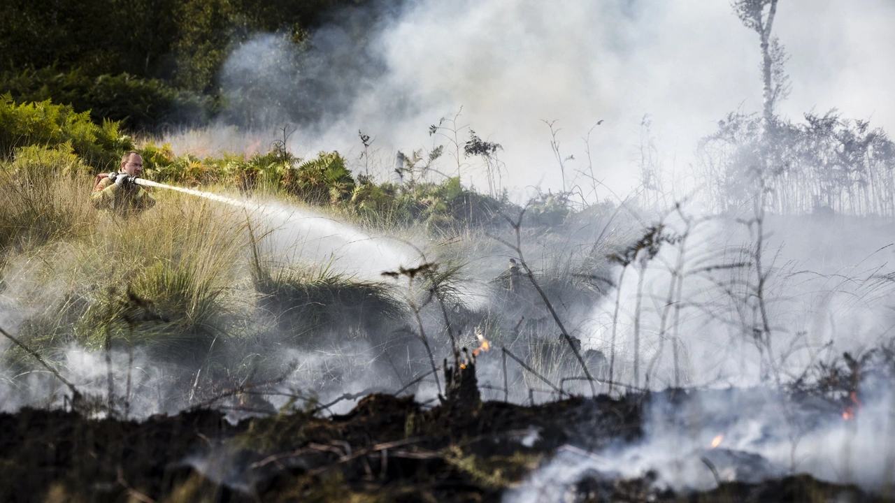 Aantal natuurbranden in Nederland dit jaar gehalveerd