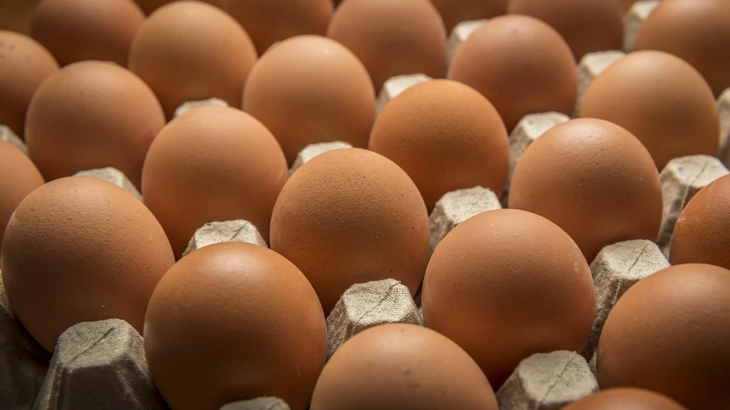 Al meer dan 300 zieken door eieren met salmonella in België