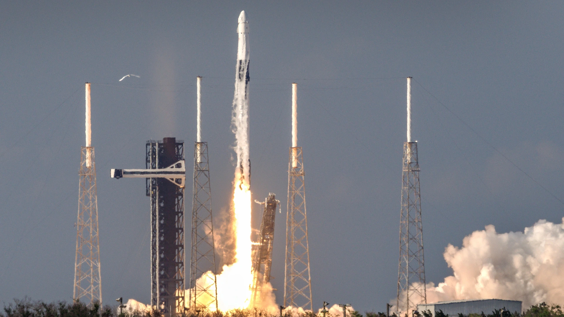 SpaceX vandaag naar beurs: wie verdienen daaraan en geeft het Musk nog meer macht?