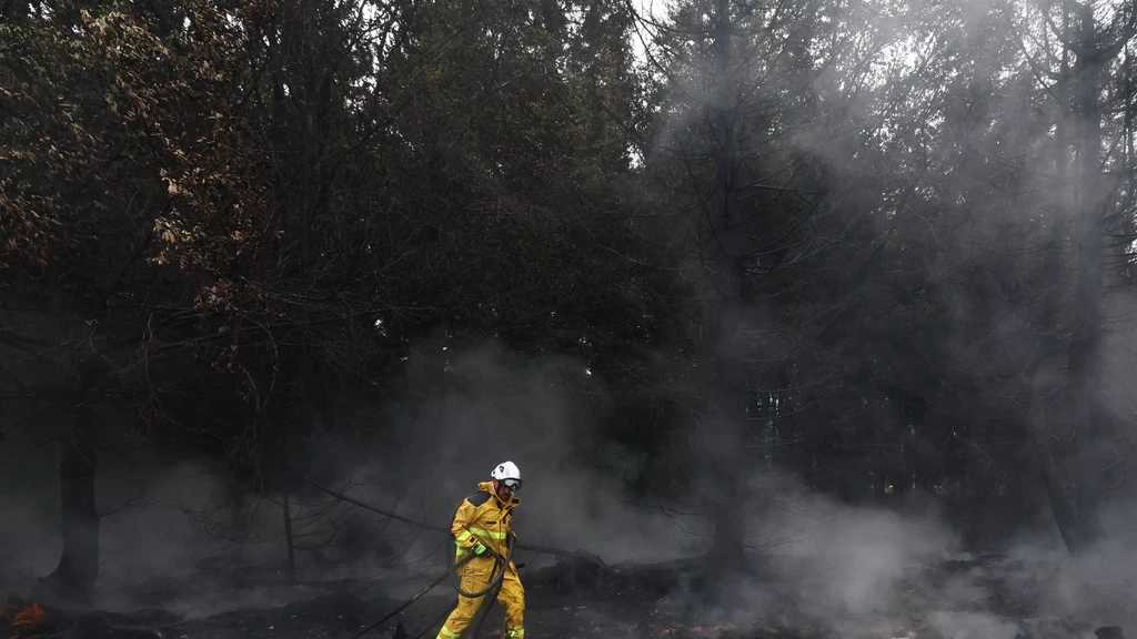 Veenbrand in de Ardennen nog niet onder controle, Koning Filip bezoekt gebied