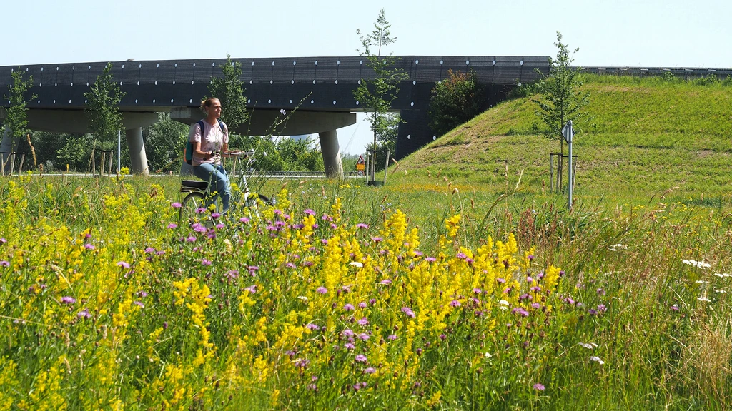 Heetste dag ooit in Frankrijk • Verhoogd risico op natuurbranden in meerdere regio’s Heetste dag ooit in Frankrijk • Verhoogd risico op natuurbranden in meerdere regio’s