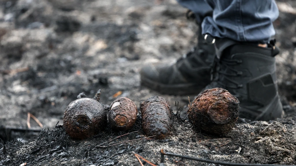 Explosies tijdens Franse bosbranden blijken achtergelaten granaten uit WO II