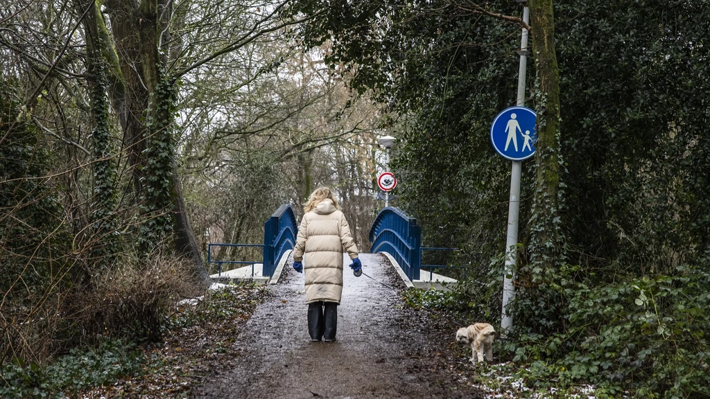 Foto: Verdachte zwijgt in onderzoek naar moord Syrische tieners in park Amsterdam