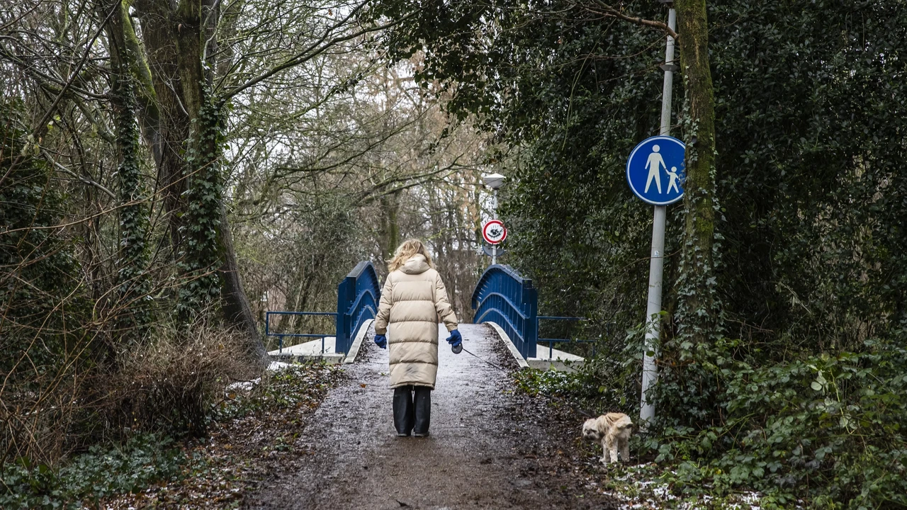 Verdachte zwijgt in onderzoek naar moord Syrische tieners in park Amsterdam Verdachte zwijgt in onderzoek naar moord Syrische tieners in park Amsterdam