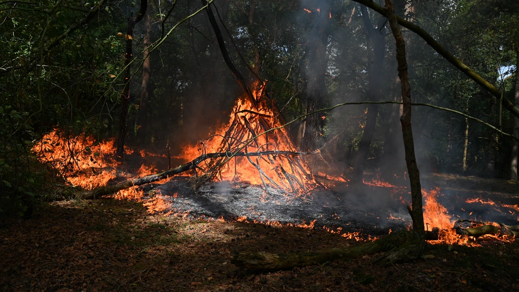 Politie vermoedt brandstichting bij kleine natuurbrand in Wijchen