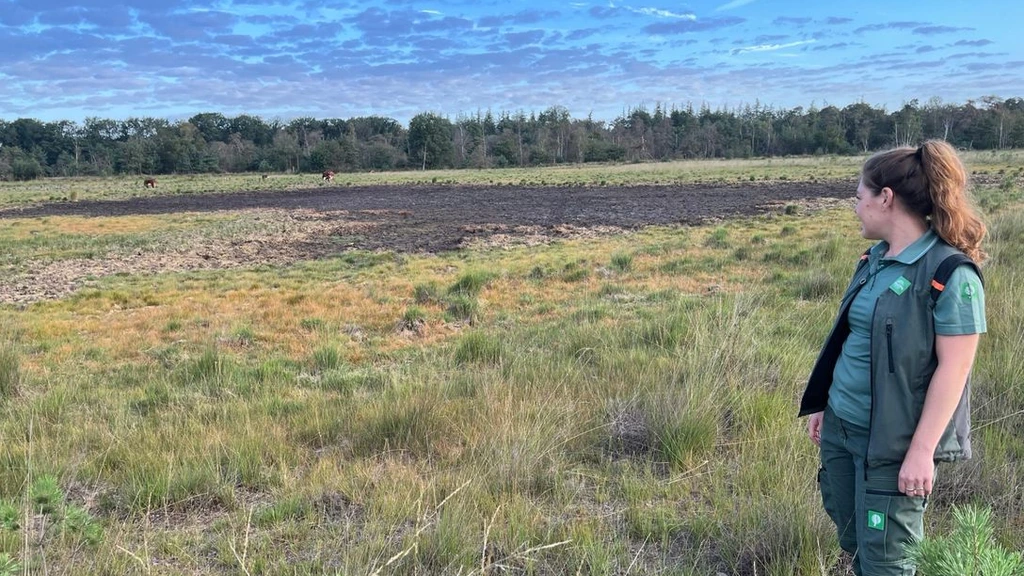 Leersumse plas verdwenen door droogte: 'Je hoort het knersen onder je voeten'