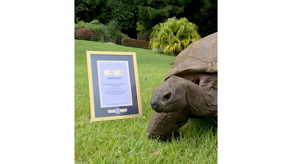 Foto: Oudste schildpad ter wereld (194) belandt in zelfde lijst als Ronaldo: 'Guinness World Icon'