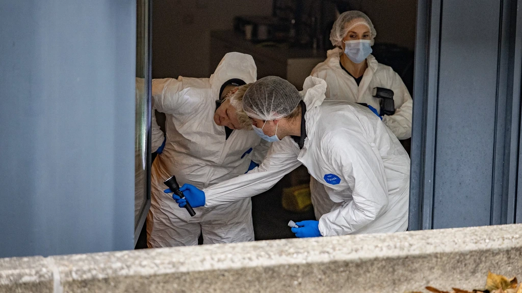 Political parties point to migration, but mental health history is key predictor of femicide