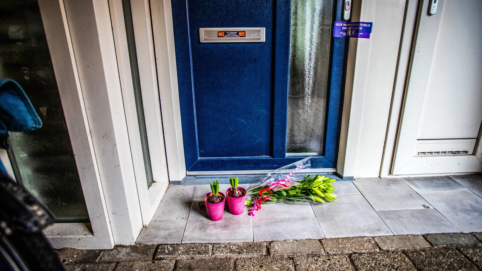 'Zelfdoding' met hondenriem blijkt moord door ex, wordt femicide vaker gemist?