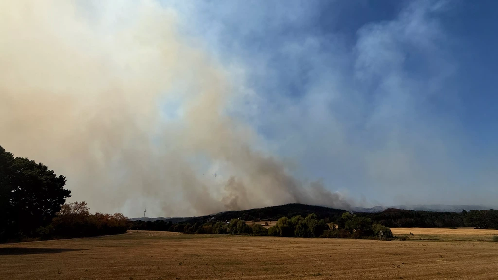 Meer dan 2000 mensen geëvacueerd vanwege natuurbrand in Duitse dorp Gey