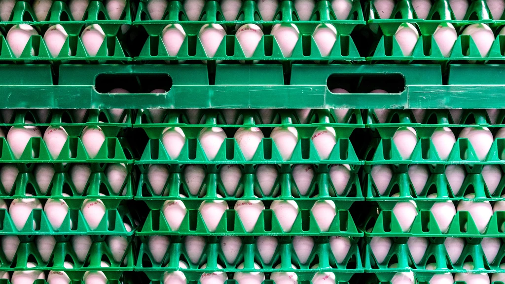 Dode en meer dan 200 zieken bij salmonella-uitbraak in Verenigd Koninkrijk