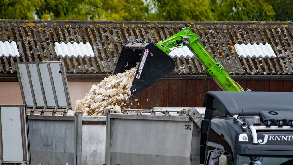 Foto: Toch weer vogelgriep in Friesland, 80.000 kuikens geruimd