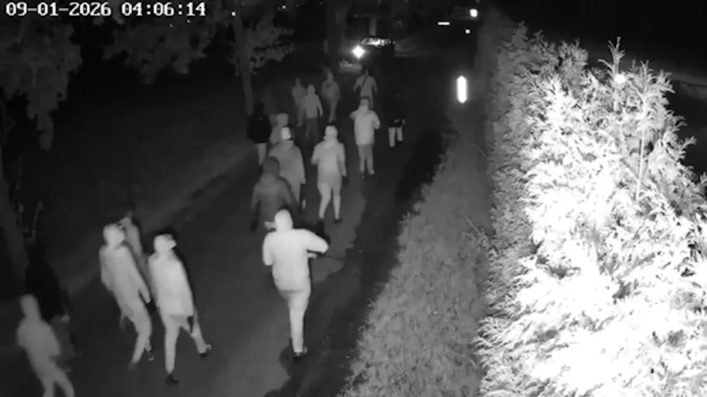Groot aantal aanhoudingen in Overasselt • Telegraaf deelt beelden van gewapende groep Groot aantal aanhoudingen in Overasselt • Telegraaf deelt beelden van gewapende groep