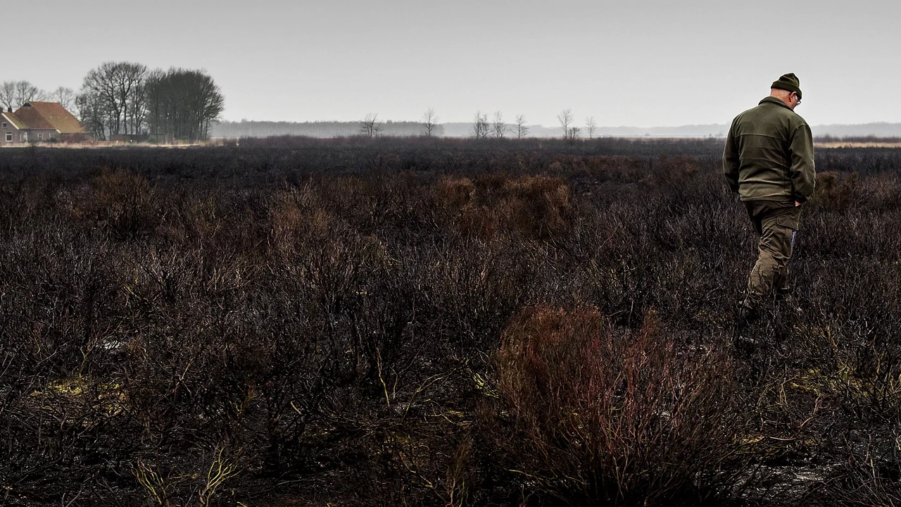 Natuurdoelen veengebieden niet gehaald, ‘omgeving te versnipperd’ Natuurdoelen veengebieden niet gehaald, ‘omgeving te versnipperd’