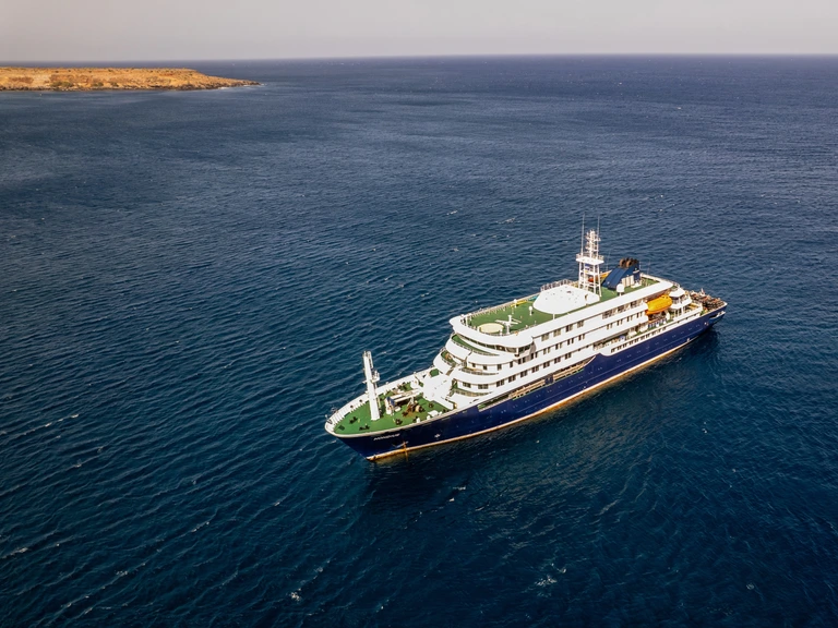 WHO meldt zeven mogelijke hantavirusgevallen op Nederlands cruiseschip Hondius — image 4