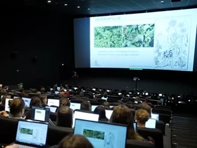 Studenten krijgen les in de bioscoop: 'Ik zie mensen slapen'