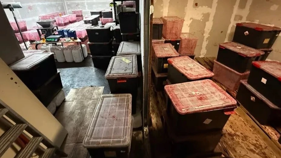 3000 kilo illegale waterpijptabak op 'schimmig' bedrijventerrein Amsterdam
