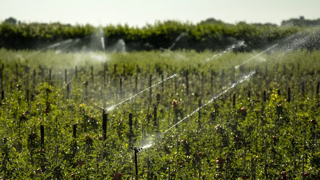 Waterschap in Brabant doet aangifte na bedreigingen van controleurs