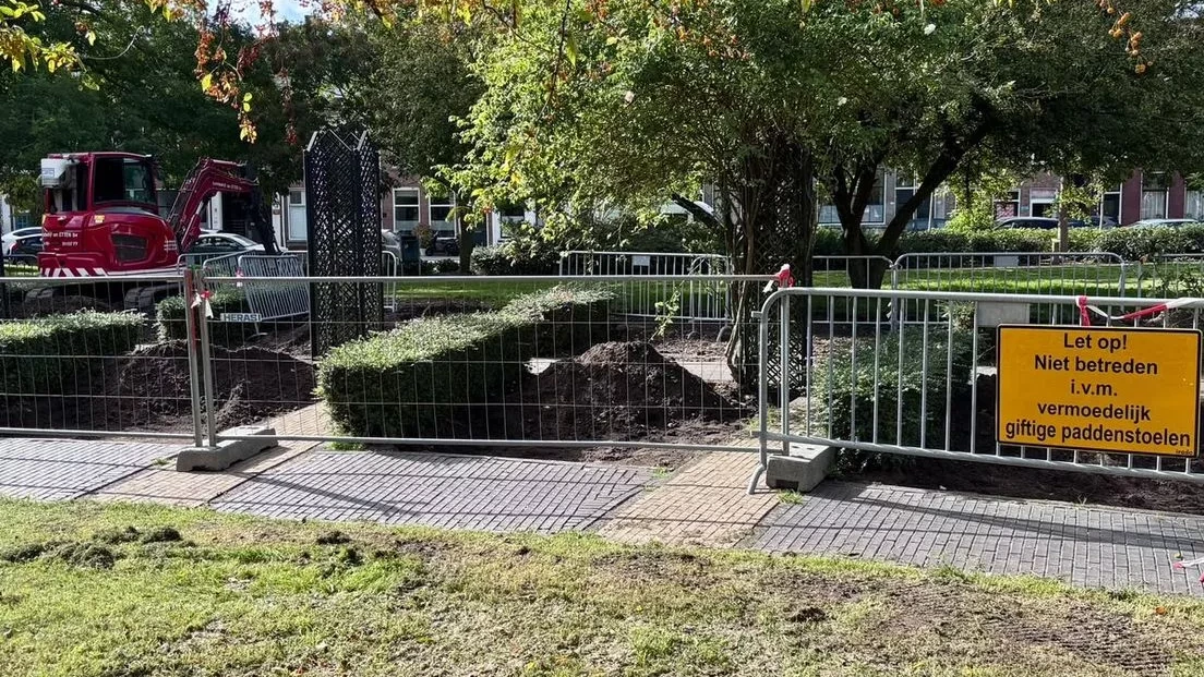 Schiedam doet bodemonderzoek in tweede park na dood van weer een hond Schiedam doet bodemonderzoek in tweede park na dood van weer een hond