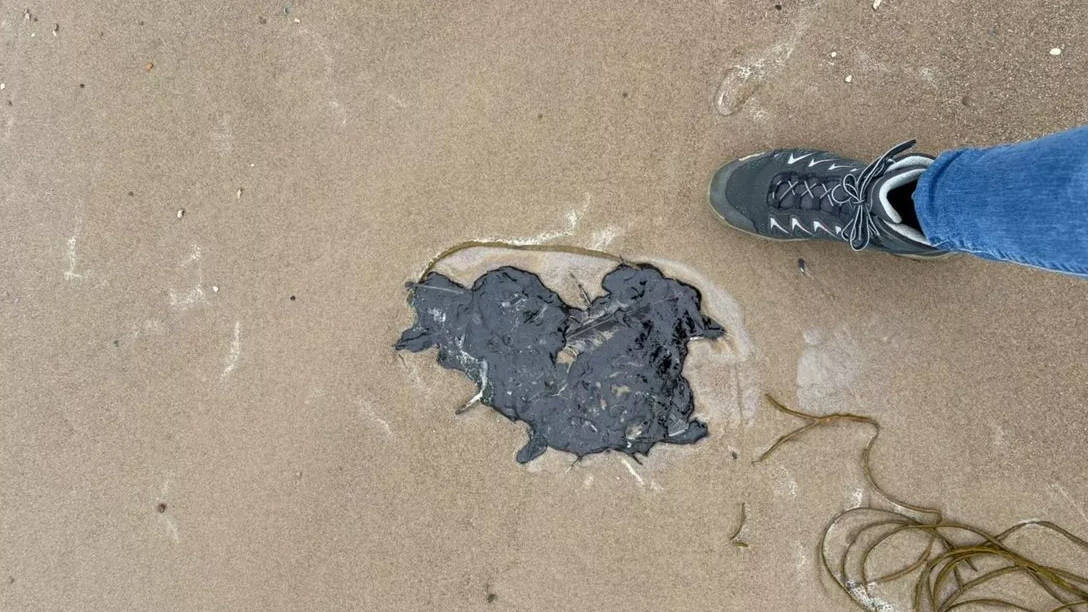 Provincie waarschuwt voor olie op Zeeuwse stranden Provincie waarschuwt voor olie op Zeeuwse stranden