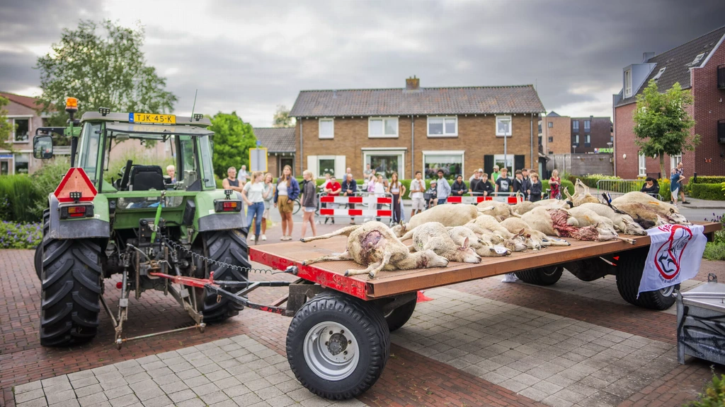 Opnieuw dood dier bezorgd bij gemeentehuis Oldebroek