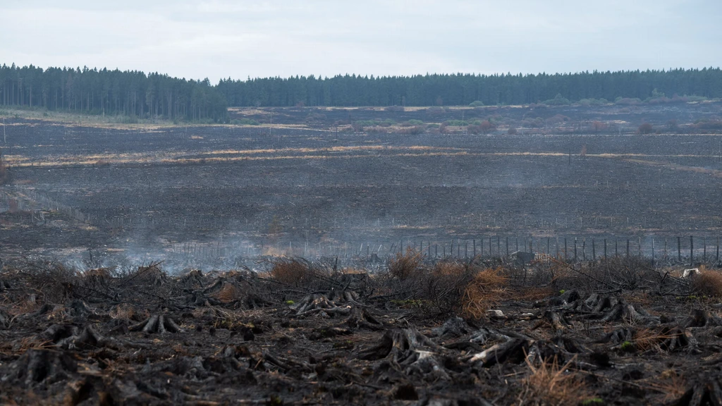 Brand in Belgische Ardennen mogelijk ontstaan door landbouwmachine