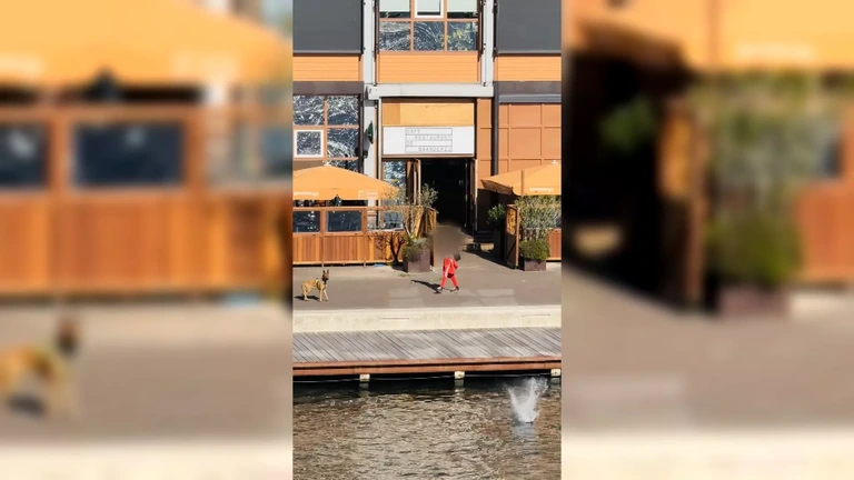 Nieuwe beelden schietpartij Amsterdam-Noord