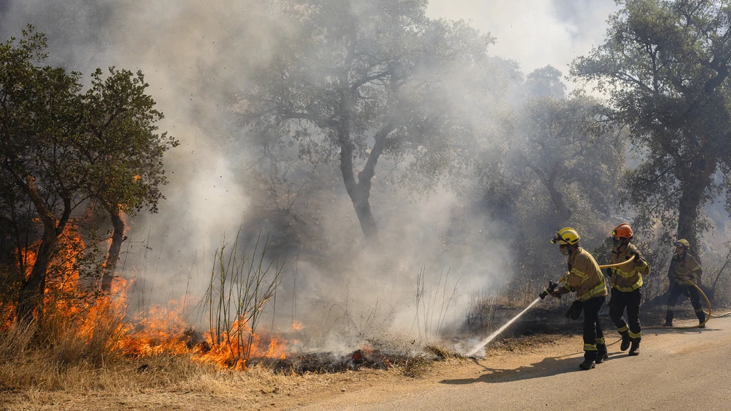 'Het leek op een natuurverschijnsel', Nederlanders zagen Spaanse bosbrand