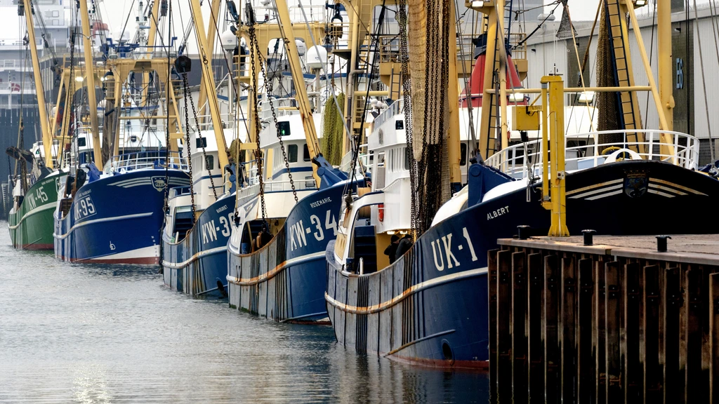 Sorteerbedrijf voor vis in IJmuiden verdacht van illegale vishandel